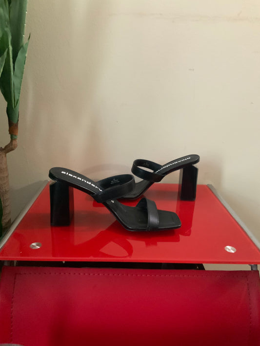 Alexander Wang block heel sandals